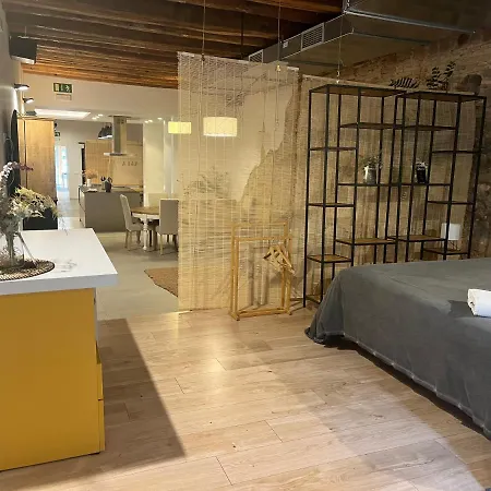 Apartment Luxury Stancesvic Loft