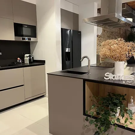 Luxury Stancesvic Loft Apartment